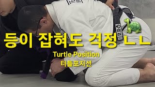 터틀 포지션 Turtle Position (기술도움 : 김범수) #터틀포지션 #TurtlePosition