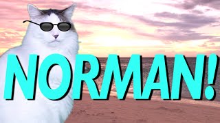 HAPPY BIRTHDAY NORMAN! - EPIC CAT Happy Birthday Song