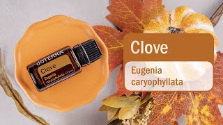 doTERRA Clove (15ml) (Translated Subtitles)