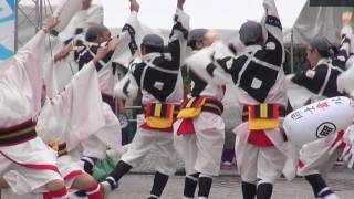 國士舞双 2016ふくのやまよさこい 中央公園 mususukunjp