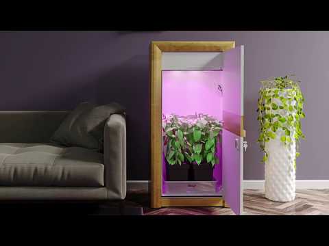 urban Chili Growbox Komplettset 2018 urban Chili Growbox Komplettset 2018