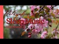 Rain Sounds Relaxing Sleep Music/ Prayer Meditation Anxiety Stress #prayer  #gloriousglimpse