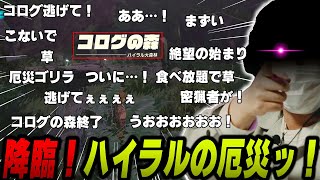 【愛の戦士】厄災、遂に降り立つ【2023/06/04】