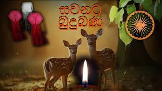 සවනට බුදුබණ 66. දුකින් නිදහස් වනු වස් ලොවට ඇති ඇල්ම දුරලමු. (නන්ද සූත්‍රය)