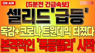 [셀리드 주가 전망] \