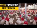 This is how much it cost me to start my poultry farm in Burkina Faso