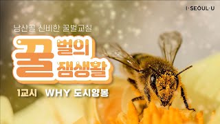 [꿀벌의 꿀잼생활] 1교시 : Why 도시양봉ㅣ서울의 공원