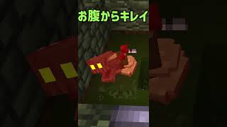 埋めてキレイキレイトイレ【betweenlands】#マイクラ #沼 #mod #マインクラフト #魔法