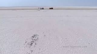 Rann of Kutch : White Salt Desert