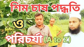 শিম চাষ পদ্ধতি ও পরিচর্যা  a to z. Bean Cultivation# ai agro tech