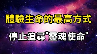 現在起，請停止追尋靈魂使命！體驗生命的最高方式：玩得開心，找到自己！ #開悟 #覺醒 #靈性成長