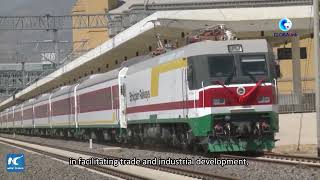 GLOBALink | Chinese-built Ethiopia-Djibouti railway wins acclaim for boosting regional integration