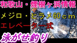 02-11　煙樹ヶ浜釣り情報・取材編