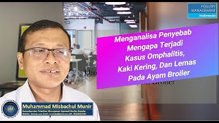 Menganalisa Penyebab Mengapa Terjadi Kasus Omphalitis, Kaki Kering, Dan Lemas Pada Ayam Broiler