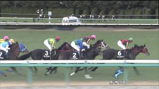 【トーセンラー】2戦目 2010 エリカ賞（3着）