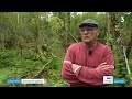 vol de bois dans les forêts privées en meuse