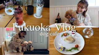 【Vlog】癒しと可愛いの大渋滞。愛犬と行ける福岡おすすめカフェ🐶☕️