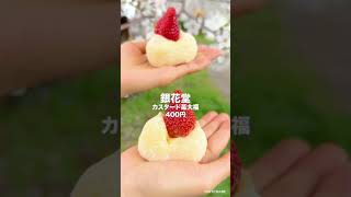 【桜見納め】浅草お花見スイーツ3選🌸【隅田公園】 #shorts