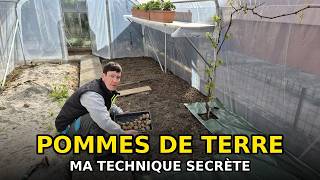Comment planter les pommes de terre : la technique que tout le monde devrait connaître