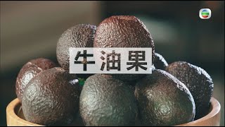 【廚神到你家】煮場爭霸｜ 自製牛油果油  ｜Ricky｜保哥