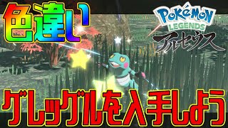 【ポケモンアルセウス】色違いグレッグルを入手しよう【Pokémon LEGENDS アルセウス】