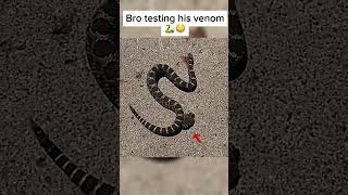 Headless snake bites itself 😳