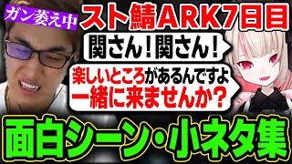 【スト鯖ARK】動画に上がらなかった7日目面白シーン/小ネタ集 ユウティラ編【スタヌ切り抜き / 関優太 / 魔界ノりりむ / きなこ / エビオ 】