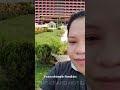 the grand hotel 圓山大飯店 yuán shāndà fàndiàn eksploring taiwan shortvideo