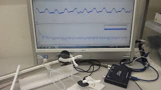 振動計測用超音波プローブの特性確認テスト（基礎実験　超音波システム研究所）