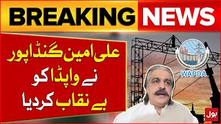 Ali Amin Gandapur Warned Shehbaz Govt | Eid al Adha Updates | Budget 2024_25 | WAPDA Today News