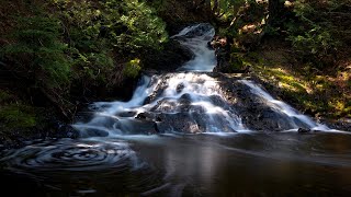Madison Gap Falls — Hiking to a Quaint Waterfall near Eagle Harbor in the Keweenaw Peninsula