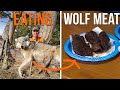 EATING WOLF MEAT?! (Wild Game Cooking)