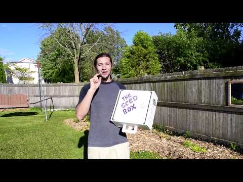 What is the dimension of a seed box?
