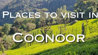 Coonoor sightseeing |sims park|Dolphin nose|katteri park|#ootytour #travel #nature