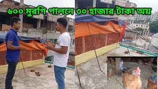 পরিত্যাক্ত ছাদের ওপরে সোনালী মুরগির খামার l ৬০০ সোনালী মুরগী পালনে লাভ কত? l Sonali murgir farm l