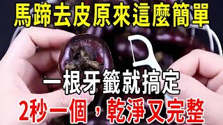 馬蹄去皮原來這麼簡單，一根牙籤就搞定，2秒一個，乾淨又完整【圍裙媽媽】