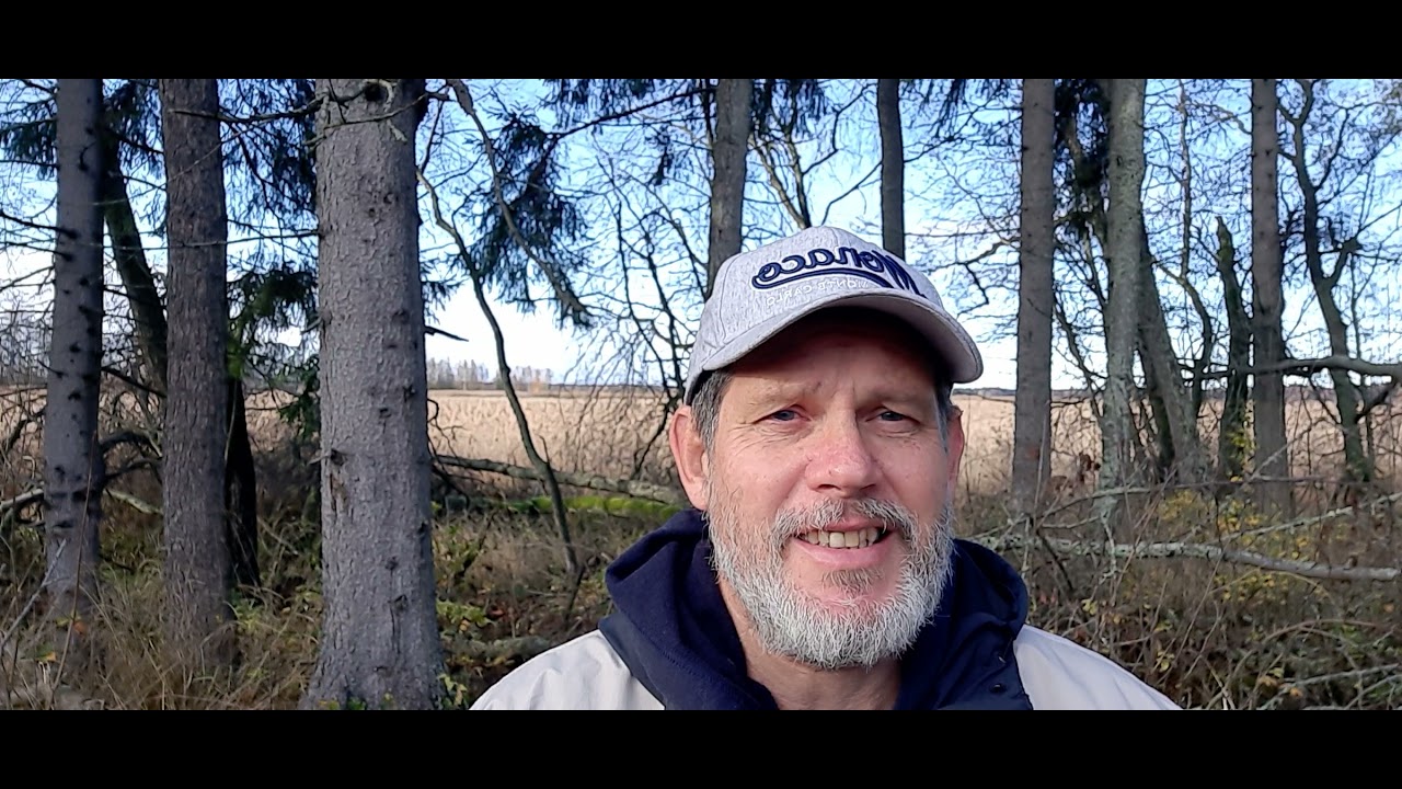 Specialisation Youtube