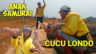 Proses Latihan Merpati Piyik Team Kiansantang