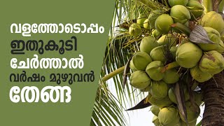 വർഷം മുഴുവൻ തേങ്ങ ഇത്രയും ശ്രദ്ധിച്ചാൽ ഒരു തെങ്ങ് മതി | Coconut Cultivation Tips