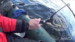 Щука 2700. Суботня рибалочка, частина 2@Poshukailo73 #україна #київ #щука #pikefishing #fishing