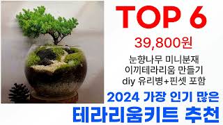 테라리움키트 탑10 2024년 최신 이거 사야해!