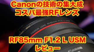 実はコスパ最強レンズ？渾身のCanonの技術による桁違いな描写　RF85mm F1.2 L USMレビュー