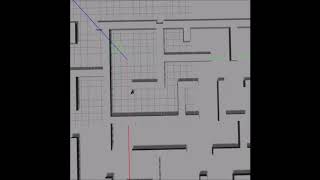Simple Random Walk