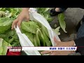 北市果菜市場廢棄菜葉疑外流轉售 20170414 公視晚間新聞