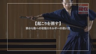 金山孝之【古武術の速さとは】型の手続きの追求 The speed in Kobujutsu