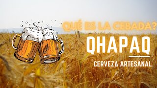 ¡Descubre el Secreto Detrás de la Cerveza! ¿Qué Es La Cebada?