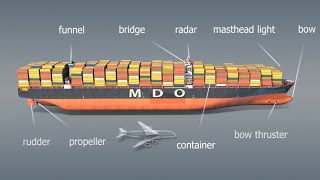 Exploring Container Cargo Ships in Stunning 3D Animation | Sailing Through the World's Sea!