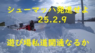 シューマッハ250209