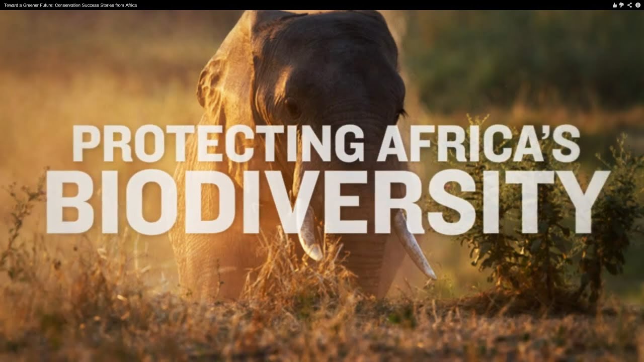 Toward A Greener Future: Conservation Success Stories From Africa - YouTube