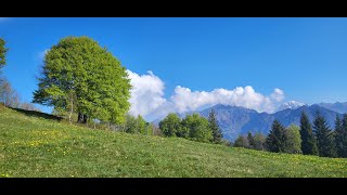 Spring / Primavera    sul Monte Cornagera